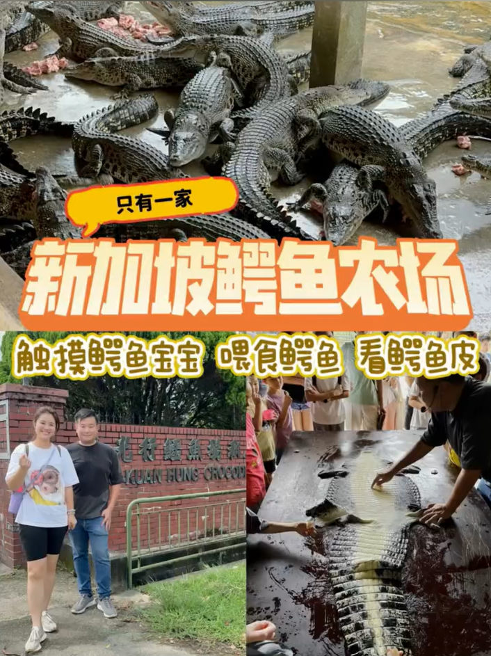 Long Kuan Hung Crocodile Farm