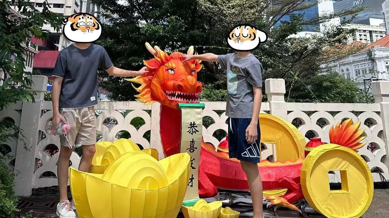大儿子O水准，小儿子PSLE双双进名校！新加坡妈妈成功经验分享～